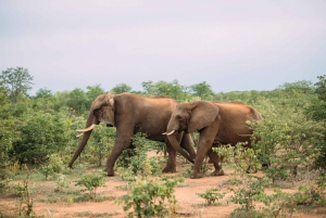 3-Day Victoria Falls Adventure with Canoeing Safari
