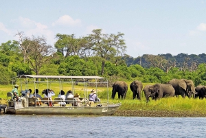 3-Day Victoria Falls Adventure with Chobe National Park
