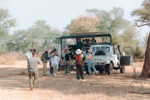 3 Tage Sambia, Simbabwe und den Chobe Park in Botswana erkunden