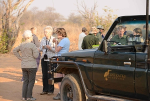 3 Tage Sambia, Simbabwe und den Chobe Park in Botswana erkunden