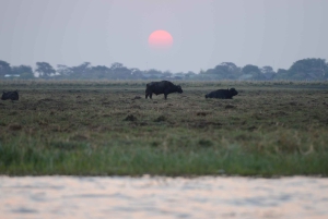 3 Tage Sambia, Simbabwe und den Chobe Park in Botswana erkunden