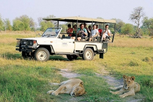 3 Days Tour Zimbabwe,Zambia&Botswana- Game Drive, Vic Falls