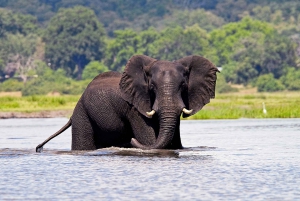 4-Day Victoria Falls Adventure with Canoeing & Chobe Safari