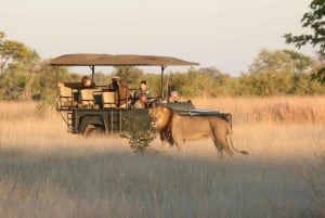 4 Days 3 Nights Hwange National Park Private luxury Safari