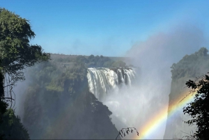 4 Days Victoria Falls Hwange National Park Trip