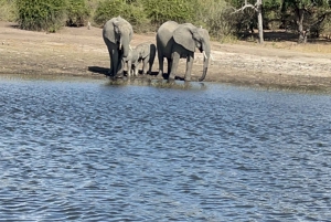 4 Days Victoria Falls Hwange National Park Trip