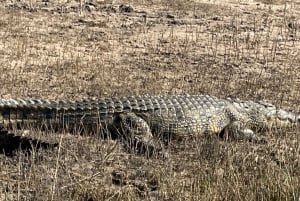 4 Days Victoria Falls Hwange National Park Trip