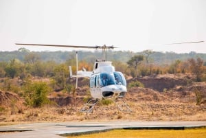 4 dagers tur til Victoriafallene og heldagssafari i Chobe