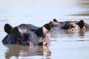 Tour de 4 días a las Cataratas Victoria y safari de día completo en Chobe
