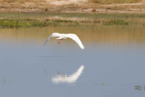 Tour de 4 días a las Cataratas Victoria y safari de día completo en Chobe