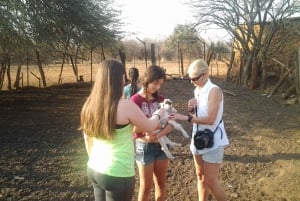 5 dagar utforska Zimbabwe, Zambia och Botswana