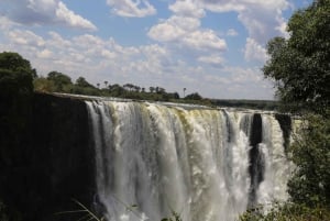 Femdagers pakke med fire land – Zimbabwe, Zambia, Botswana og Namibia