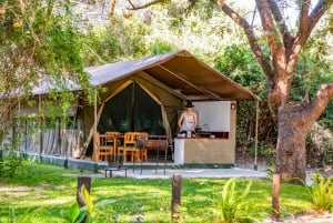 6 dagars idyllisk fiskesafari på Zambezi vid Mubala Camp