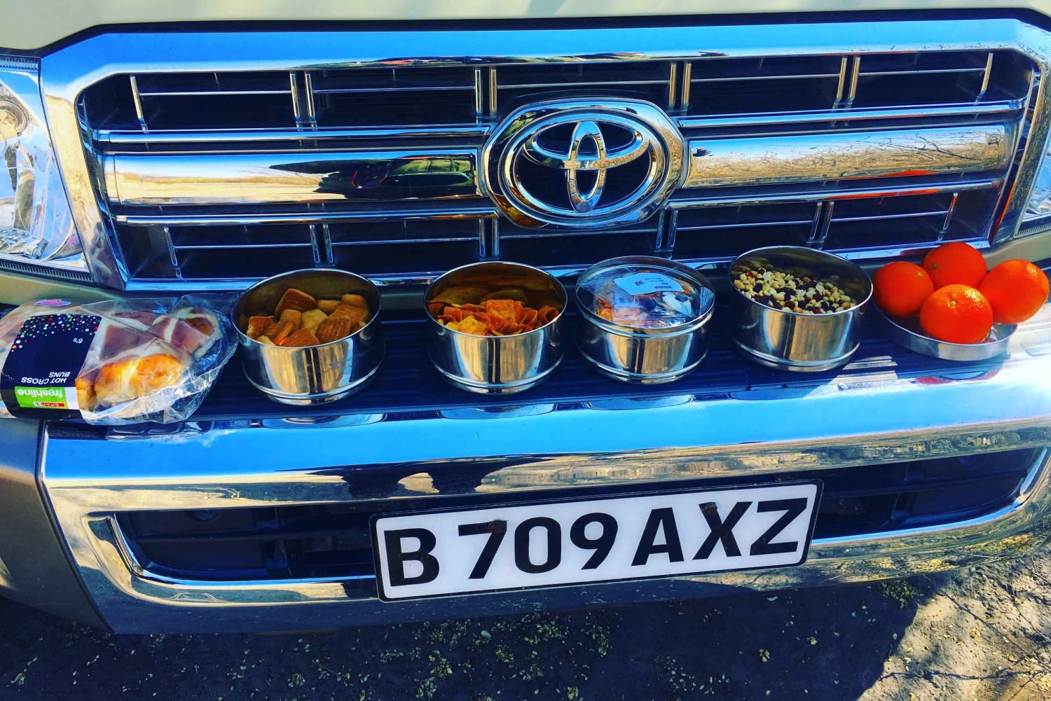 Tour safari classico Livingstone di 7 giorni: Khwai, Savuti e Chobe