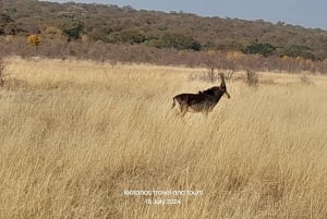 9-Day-Okavango Delta, Chobe and Hwange Wildlife Safari