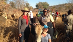 Africa Centre for Holistic Management