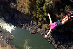 Abholung vom Flughafen und Vic Falls Bridge Bungee Jumping