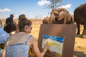 Elephant Art Experience