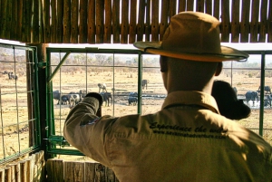 BBQ/Braii + Game Drive in Chamabondo National Park