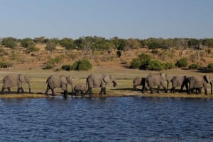 O melhor do Zimbábue - Aventura de 6 dias