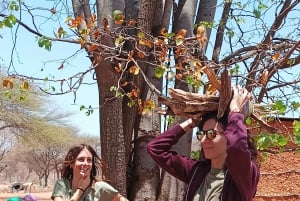 Podróż solo po Botswanie: lokalni gospodarze w Gaborone, Maun i Kasane