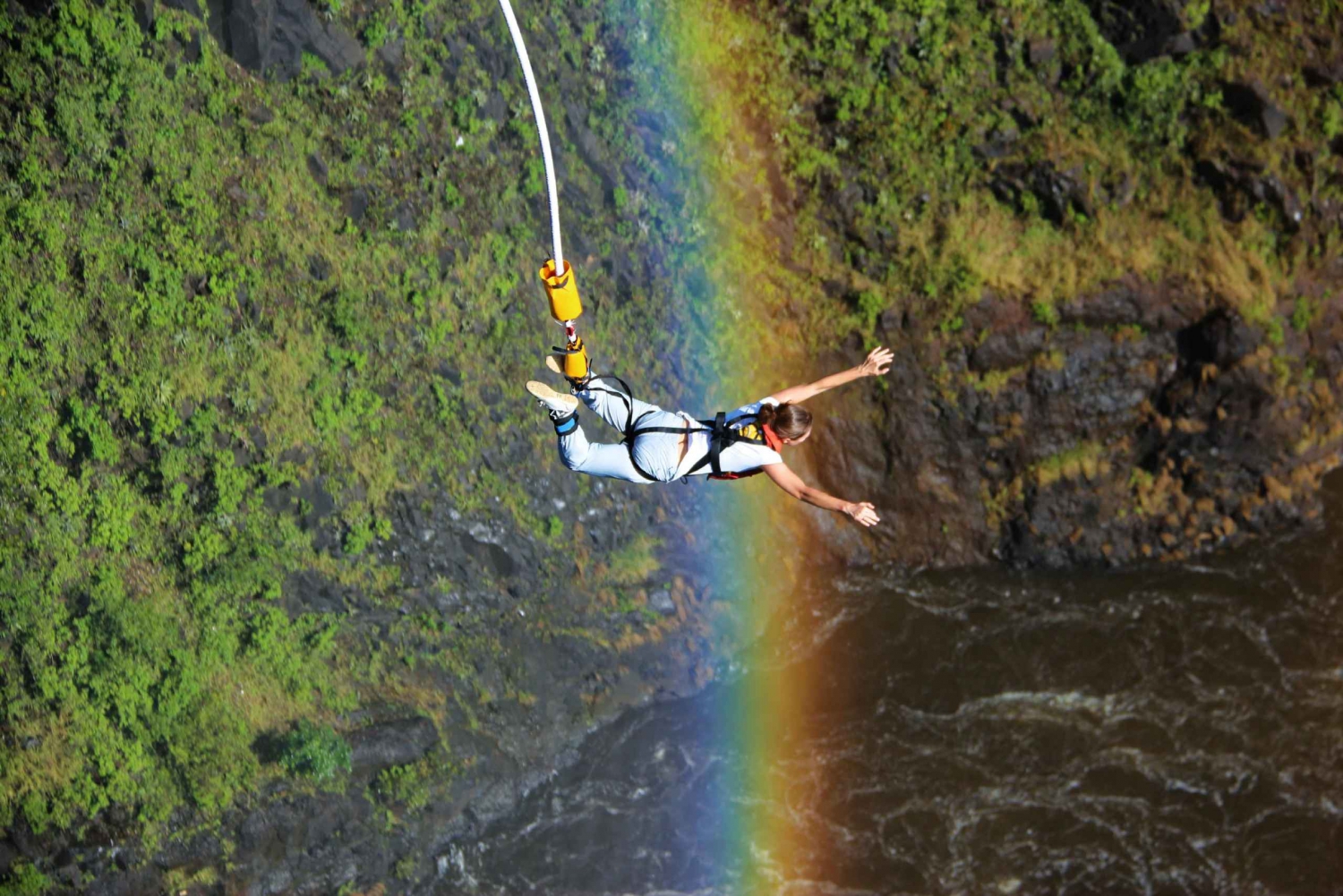 Bungee jump off the Victoria Falls Bridge