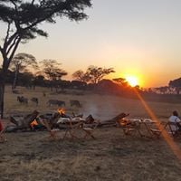 Bush Experience Harare