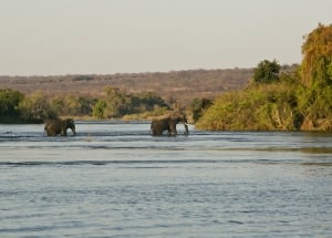 Bushtracks River Safaris