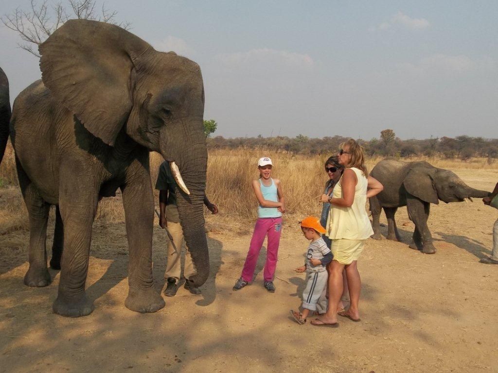 Chengeta and Pamuzinda Safari Lodges in Zimbabwe | My Guide Zimbabwe