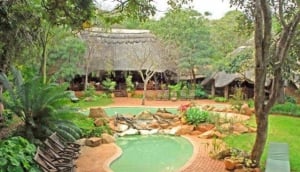 Best Private Game Parks Around Harare