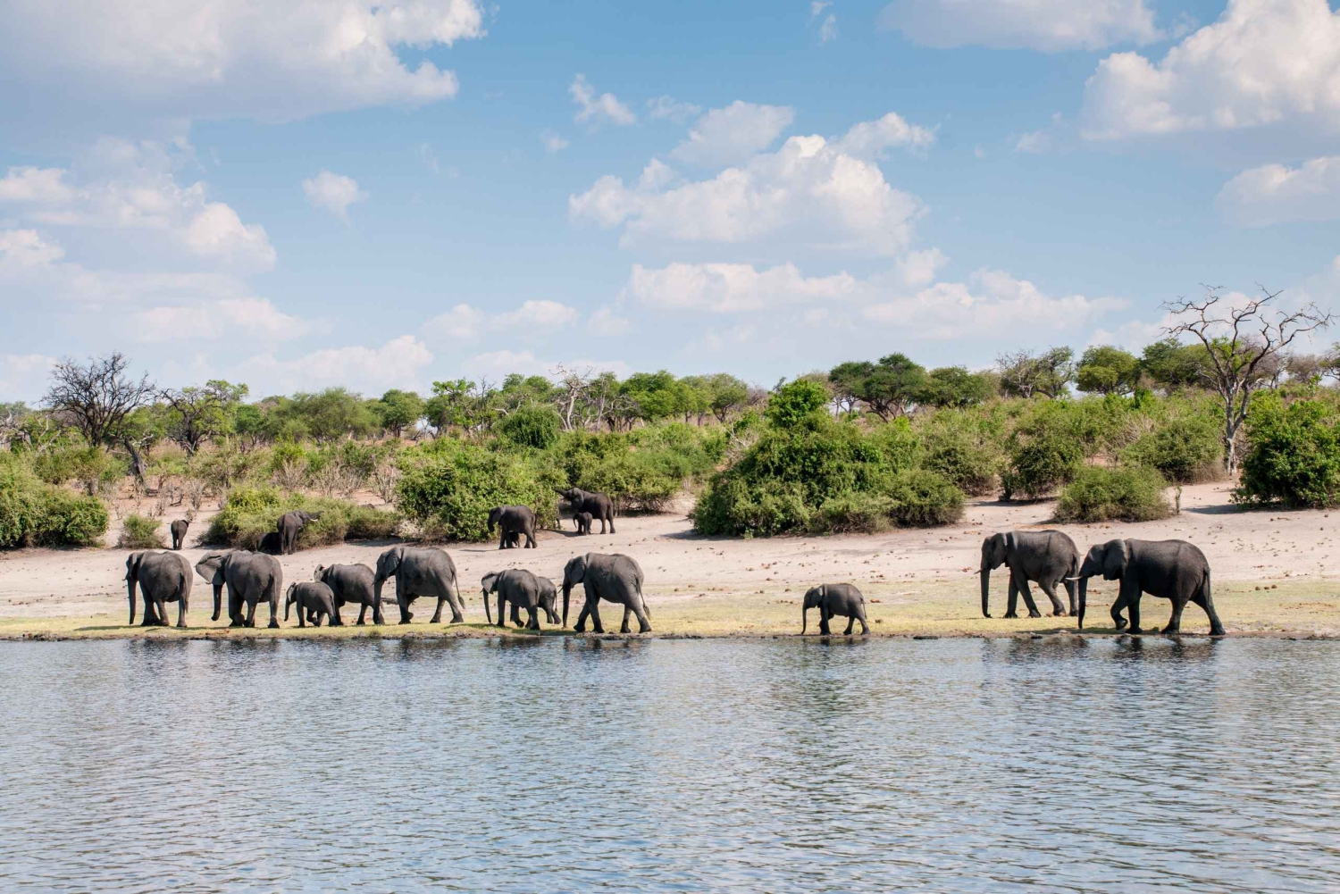 チョベ移動キャンプサファリ2日間