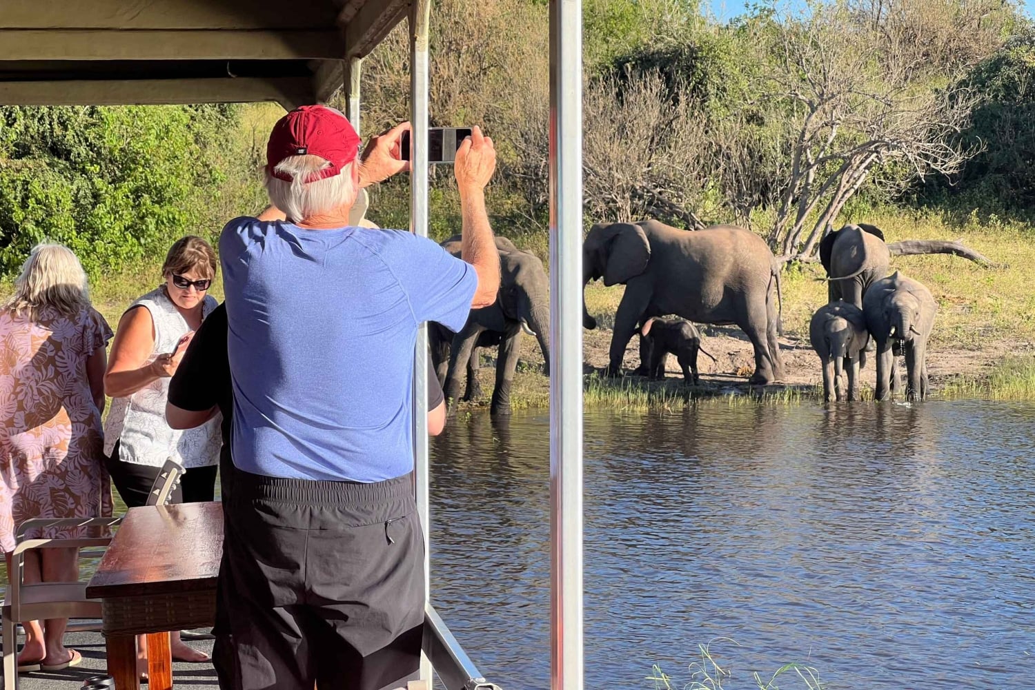 Safari di un giorno nel Chobe e safari in barca dalle Cascate Vittoria - 8 ore