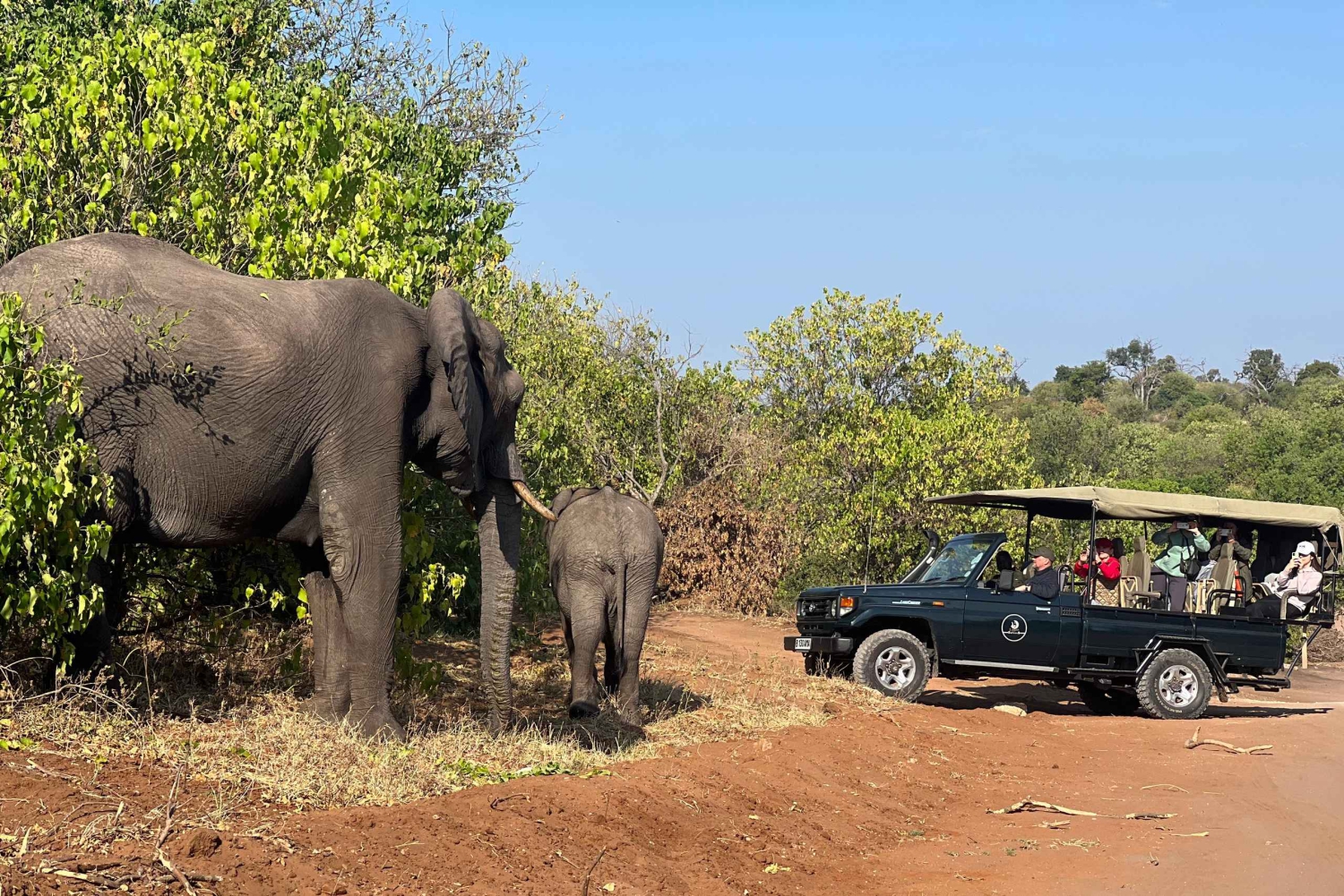 Safari di un giorno nel Chobe e safari in barca dalle Cascate Vittoria - 8 ore