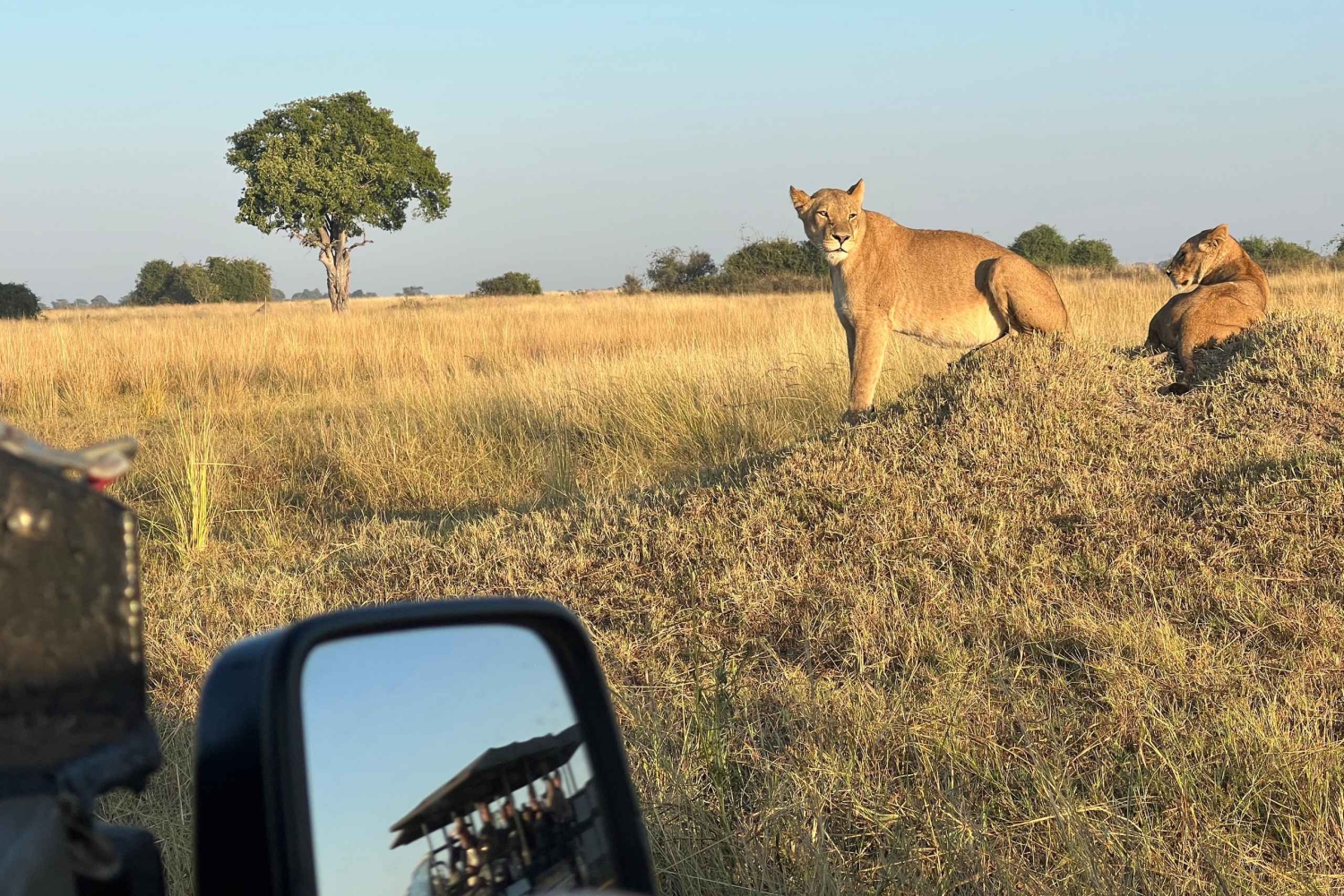 Safari di un giorno nel Chobe e safari in barca dalle Cascate Vittoria - 8 ore