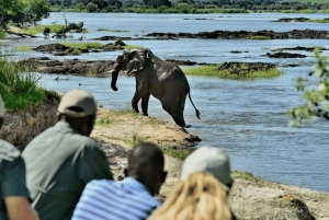 Chobe-dagstur – Chobe nasjonalpark – med lunsj (buffé)