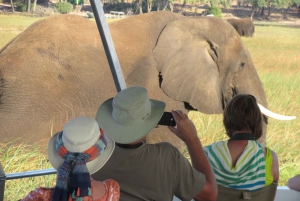 Chobe Day Trip from Victoria Falls, Zimbabwe