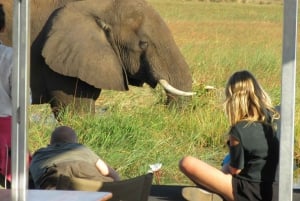 Chobe Day Trip from Victoria Falls, Zimbabwe