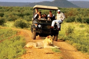 Chobe Full Day Safari from Livingstone