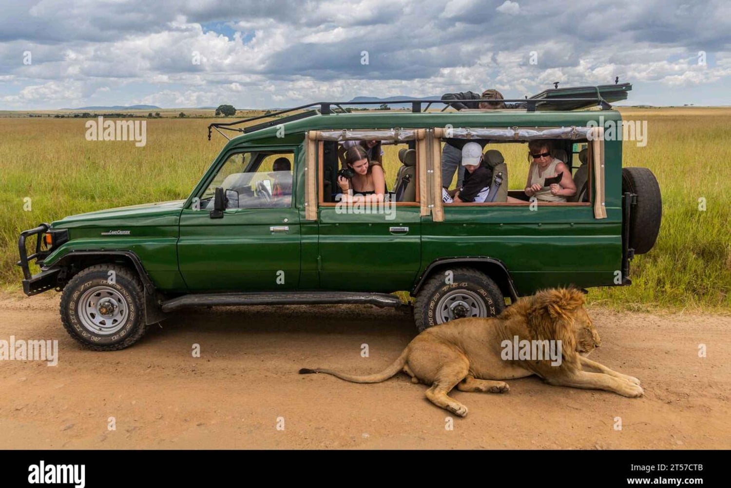 Escursione di mezza giornata a Chobe dalle Cascate Vittoria