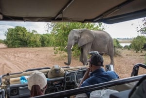 Chobe National Park: Day Trip with River Cruise