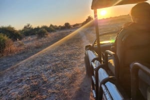 Chobe National Park Express Land Safari + Pickup