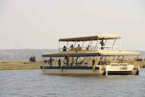 Escursione privata a Chobe Un'esperienza safari di lusso