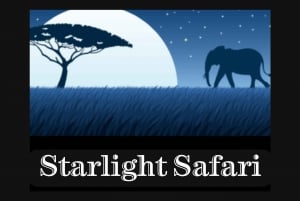 Victoria Falls: Starlight Safari