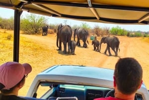 Day Trip from Victoria Falls: Chobe NP Land and River Safari