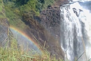 Experimenta las cataratas Victoria.