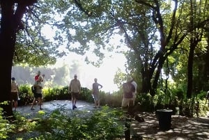 Experimenta las cataratas Victoria.