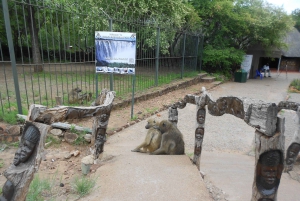 Experience the Vic Falls