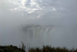 専門ガイドと共にビクトリアの滝を体験する