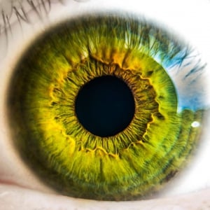 Eye Pod