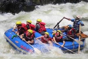 From Kasane: Full-Day White Water Rafting